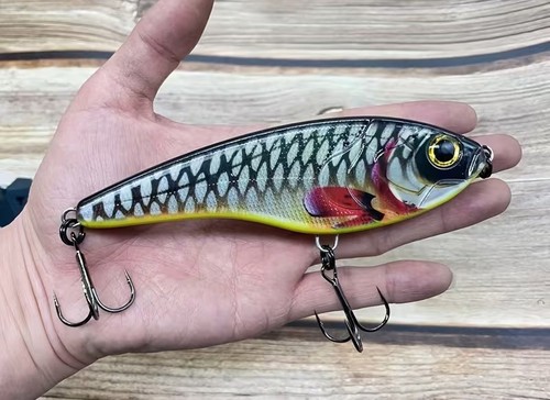 Printed jerk bait lure - jerk,