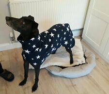 dog Snood jumper fleece house coat italian whippet lurcher blue star 24”