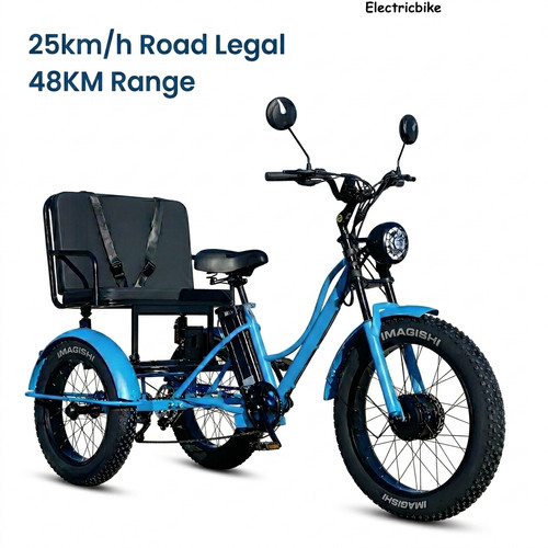 Electric tricycle adult 48v - electric,