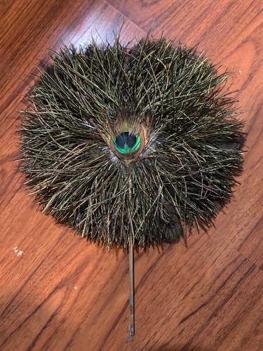 Vintage ostrich peacock - ostrich,