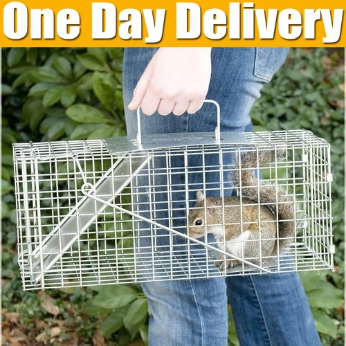 Metal squirrel trap - trap, duty