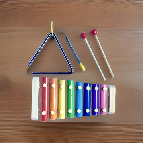 Kid wooden xylophone with - xylophone,