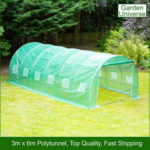 Polytunnel greenhouse poly - greenhouse,