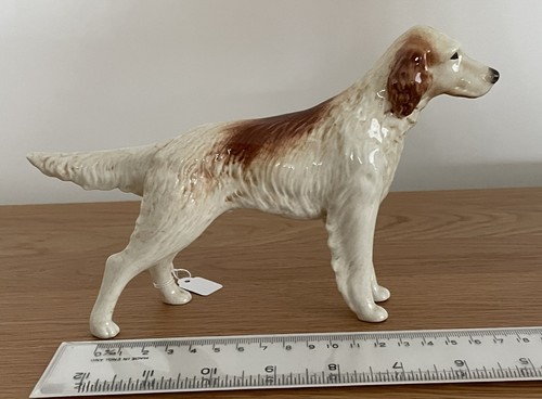 Branksome english setter - branksome,