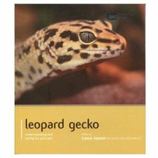 Leopard Gecko - Pet Expert