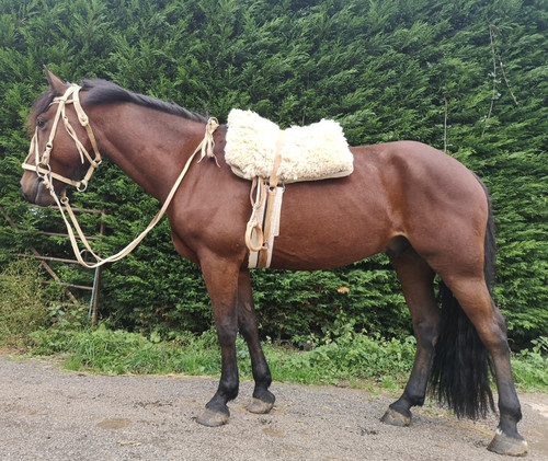 Gaucho south american saddle - /,