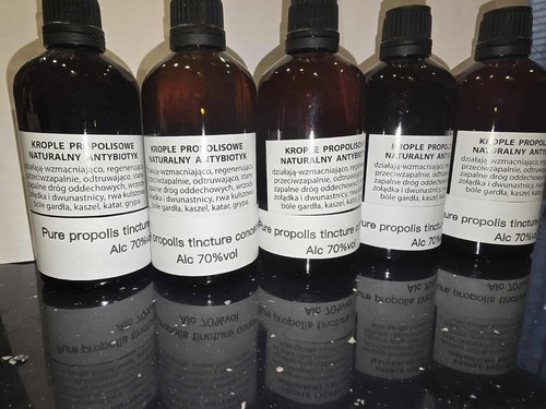 Bee health propolis - bee, liquid