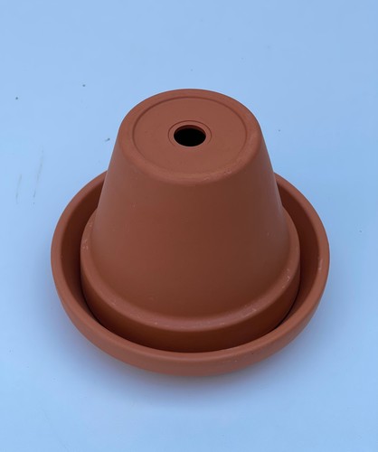 Classic terracotta plants pots - classic,