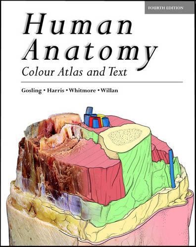 Human anatomy color atlas and - human,