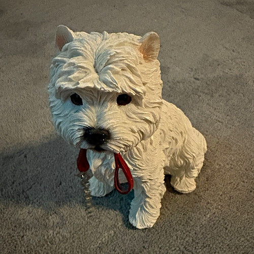 Dog studio west highland - dog,