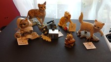 Large Job lot of 8 Kitten/ Cat