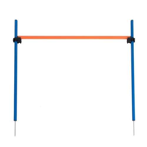 Fun sport dog - sport, agility