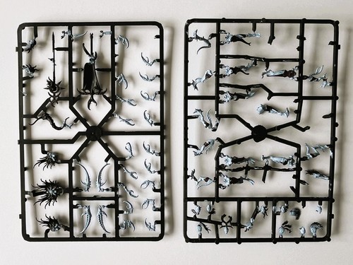 40k chaos daemonettes - 40k, of