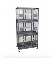 Parrot Supplies Triple