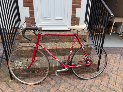Raleigh pursuit racing - raleigh, bike