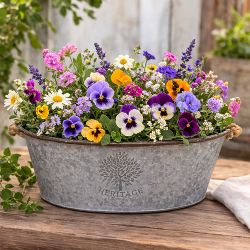 Oval zinc garden flowers - oval,