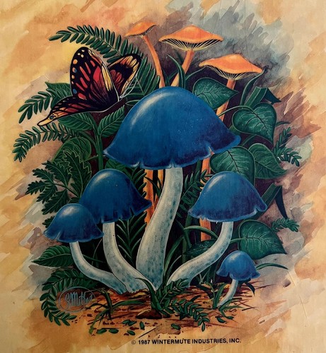 Mushroom garden butterfly - mushroom,