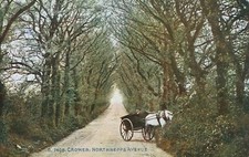 Pony & Trap on Northrepps Avenue Cromer. Norfolk,  Posted 1918,             R198