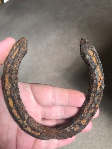Genuine ww1 war - relic, horse