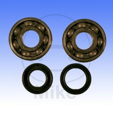 Engine Shaft Bearings Kit
