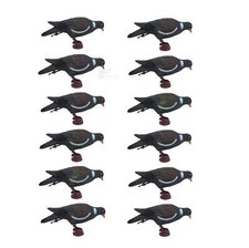 Pigeon Decoy Full Body Plastic