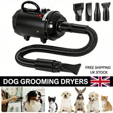 3800W Professional Dog Cat Pet