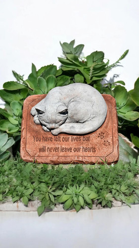 Latex and fibreglass mould - latex, cat