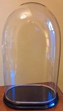 Very Large Antique Victorian Hand Blown Glass Dome With Ebonised Base H47cms VGC