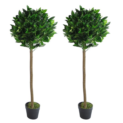 Pair artificial bay - of, topiary