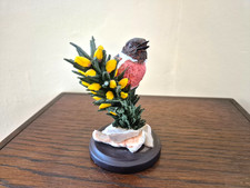 Andy Pearce The Country Bird