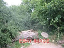 PHOTO  POTTERS CROUCH NO