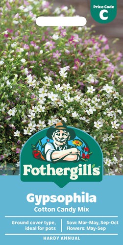 Fothergill gypsophila - mr,