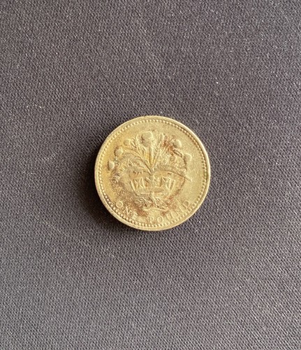Rare one pound coins - £1,