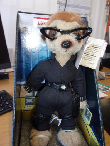 Compare the meerkat toy - the,