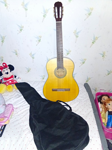 Freshman fa100c guitar - freshman,