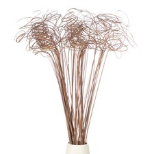 60 Pcs Dried Curly Willow