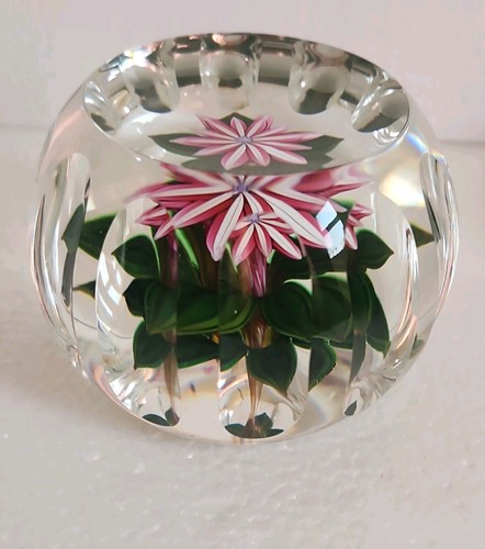 Perthshire dahlia faceted - dahlia,