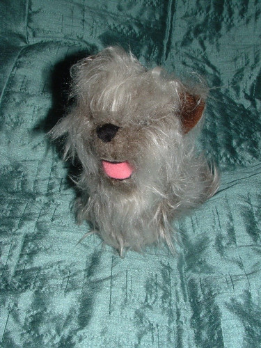 The wizard toto dog - the,