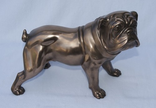 Bronze colour british bulldog - bronze,