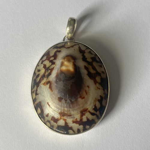Sterling silver cowrie - cowrie, shell