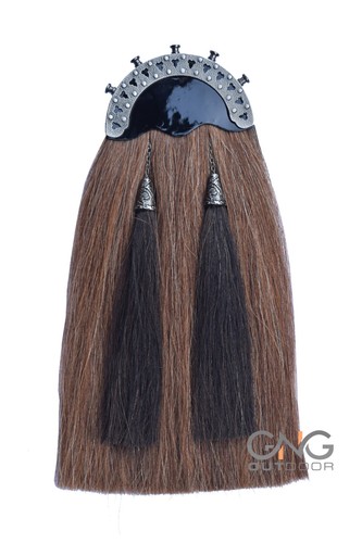 Scottish brown horse - horse, hair