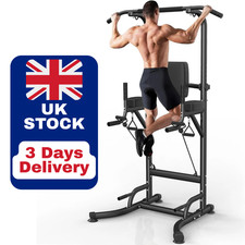 Power Tower Dip Station Pull