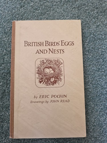 British birds eggs and - birds,