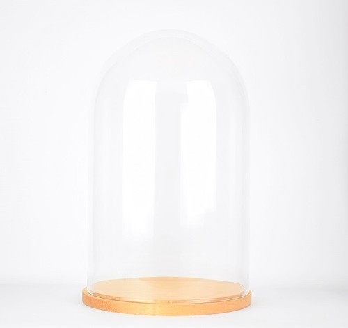 Large glass dome - large,
