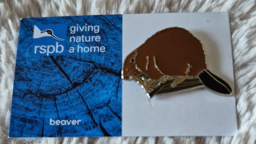 Rspb bird pin - badge, beaver