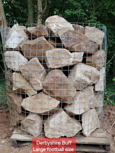 Rockery large derbyshire buff - rockery,