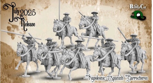 28mm napoleonic spanish - ,
