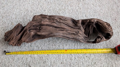 Large drift wood 21 - wood, 53