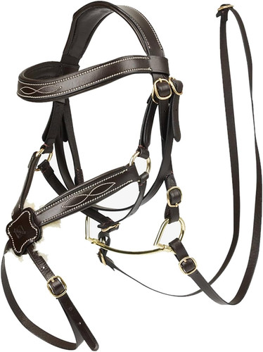 Hobby horse grackle - grackle, bridle
