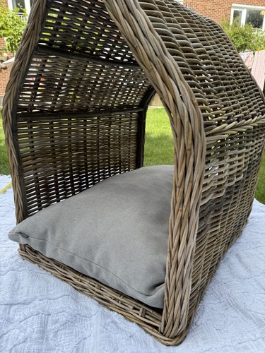 Cox dogs wicked - bed, with